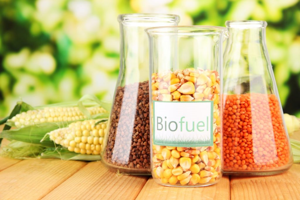 biofuels industry in canada and the u.s. just starting or just ending 1