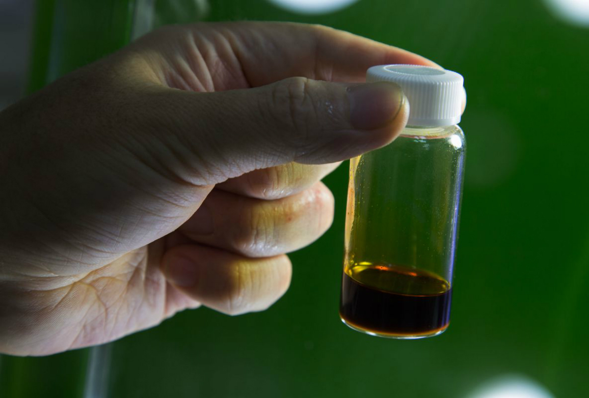 Biodiesel