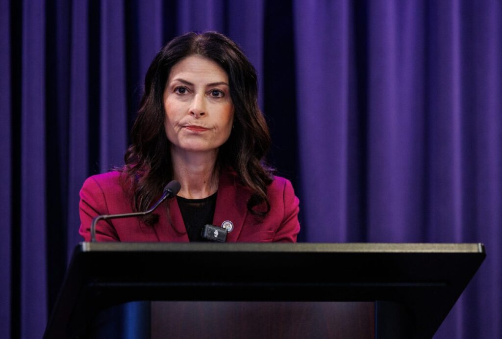 michigan democrat attorney general dana nessel 1200x810