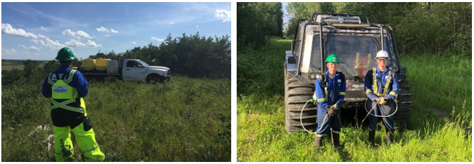 vegetation management spraying mowing 1