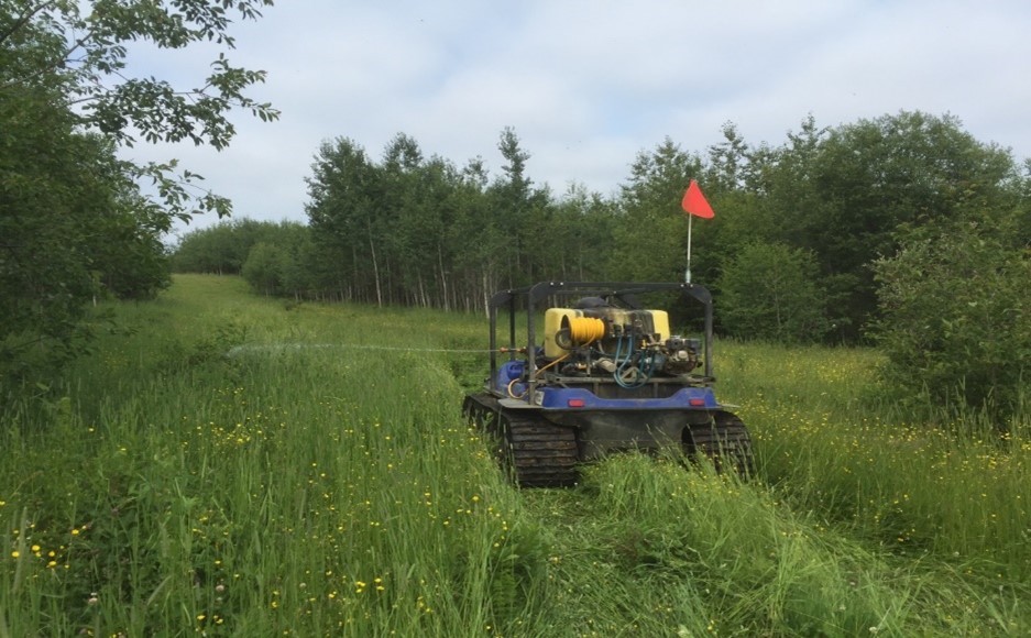 vegetation management spraying mowing 2