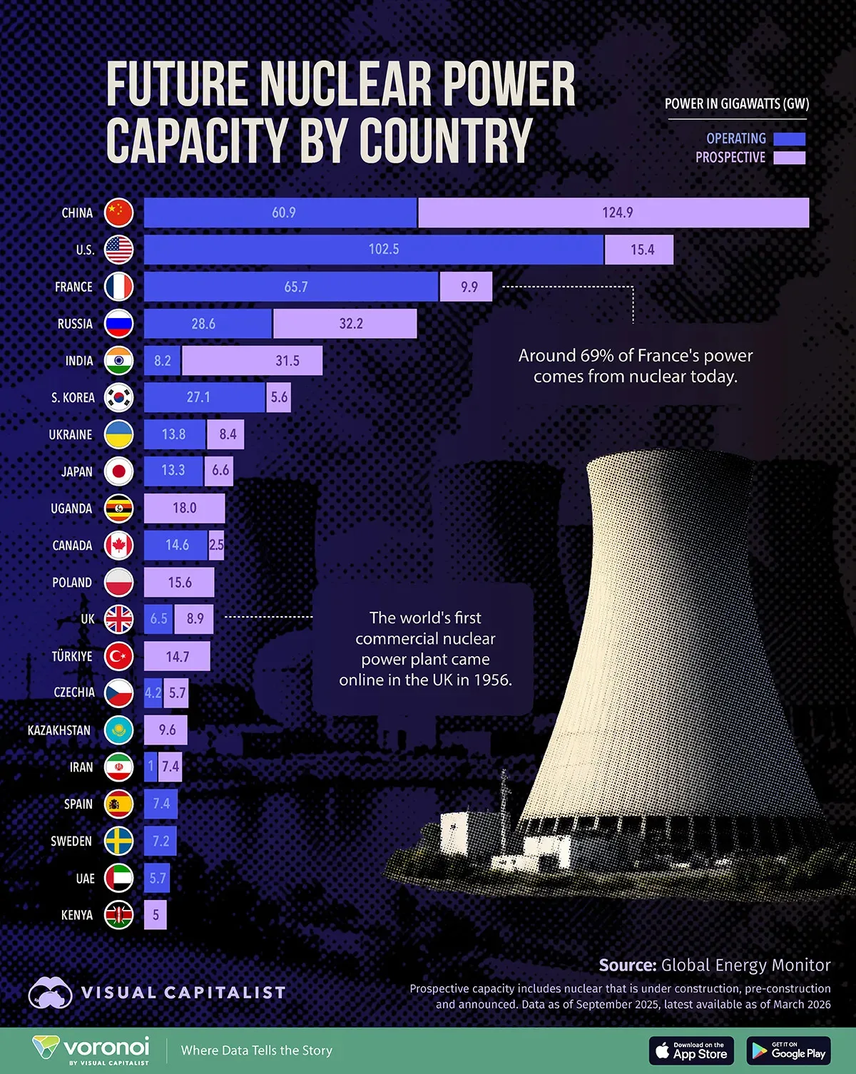 nuclear power by country prospective